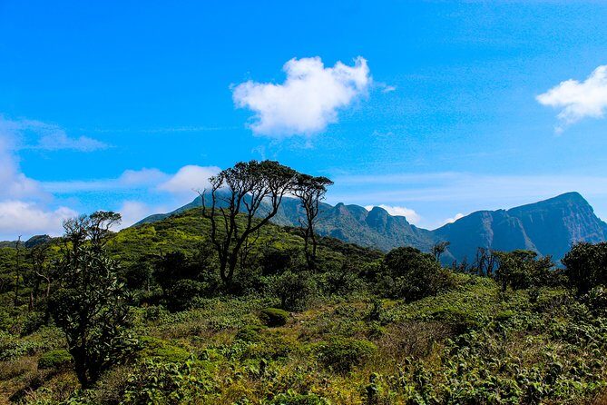 Hiking in Knuckles range with overnight accommodation in a mud cottage - Key Points