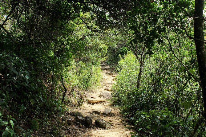 Hiking in Knuckles range with overnight accommodation in a mud cottage - Exploring the Knuckles Mountain Range: A Deep Dive