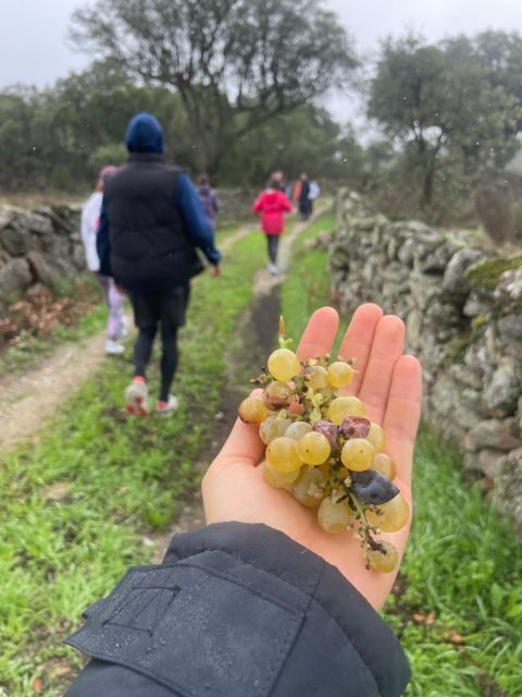 Hiking in Nature: Guided paths passing through Marvão - Who Should Consider This Tour?