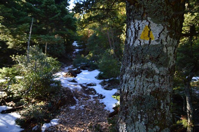 Hiking in Parnitha National Park from Athens - An Overview of the Experience