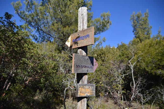 Hiking in Parnitha National Park from Athens - Practical Details and Value