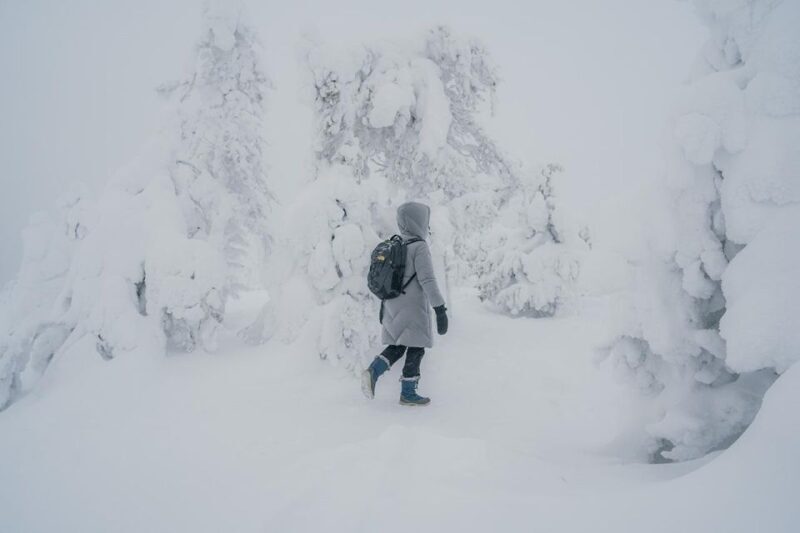 Hiking in Riisitunturi National Park with Photographer - Key Points