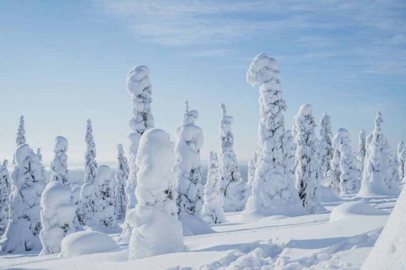 Hiking in Riisitunturi National Park with Photographer - Authentic Experiences and Real-World Insights