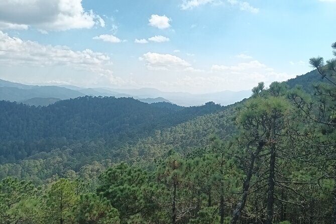 Hiking in Sierra Norte the most spectacular trails in Oaxaca - A Delicious and Refreshing Lunch