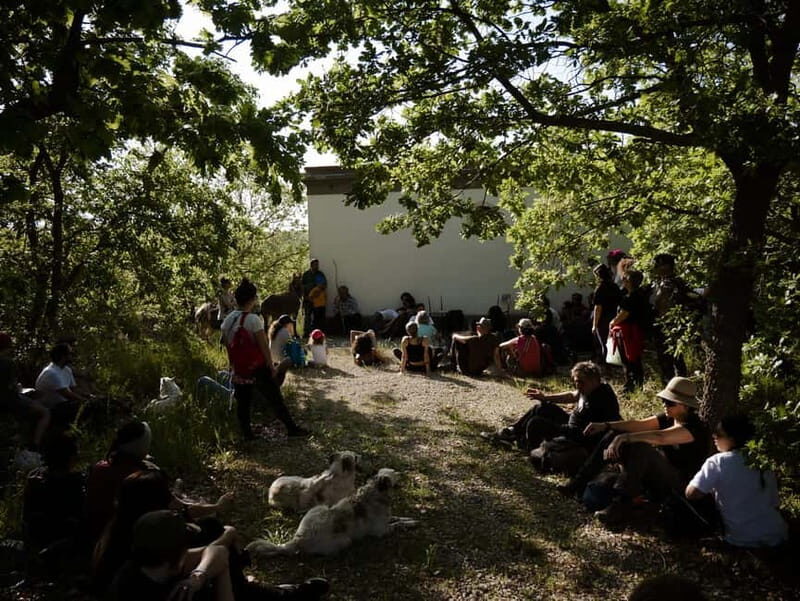 Hiking in the Alta Murgia National Park: the forest and the ancient farmhouse - Key Points