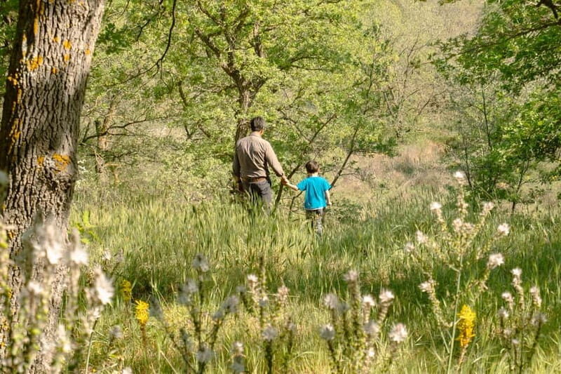 Hiking in the Alta Murgia National Park: the forest and the ancient farmhouse - Who Would Enjoy This Tour?