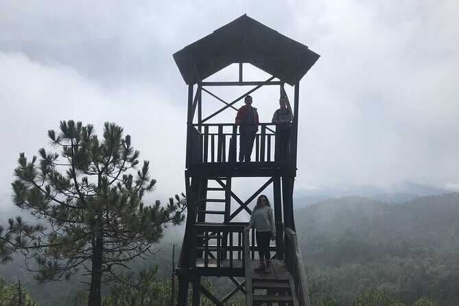 Hiking in the Enchanted Forest of Ixtepeji with Rescue Dogs - The Itinerary in Detail