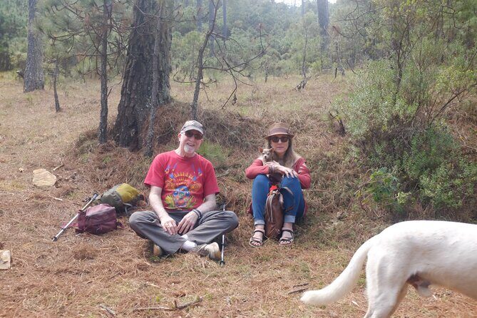 Hiking in the Enchanted Forest of Ixtepeji with Rescue Dogs - FAQ