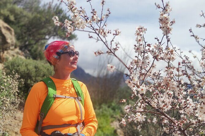 Hiking in the Sacred Mountains of Gran Canaria: UNESCO - Is This Tour Worth the Price?