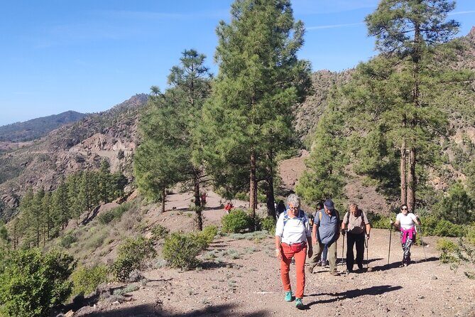 Hiking in the Sacred Mountains of Gran Canaria: UNESCO - Who Will Enjoy This Tour?