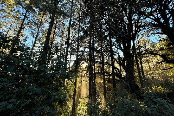 Hiking in the Sierra Norte of Oaxaca - Practical Tips for Your Day in the Sierra Norte