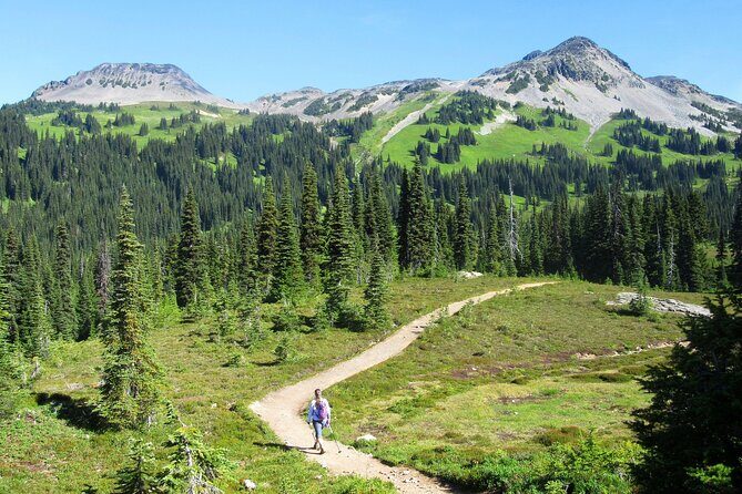 Hiking in the Stunning Garibaldi Park - An In-Depth Look at the Garibaldi Park Hiking Experience