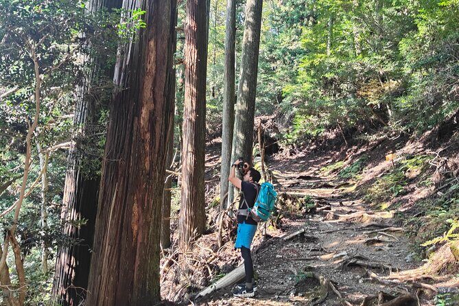 Hiking Kyoto's Highest Mountain: Unravel the Mystery of Mt. Atago - Who Should Consider This Tour?