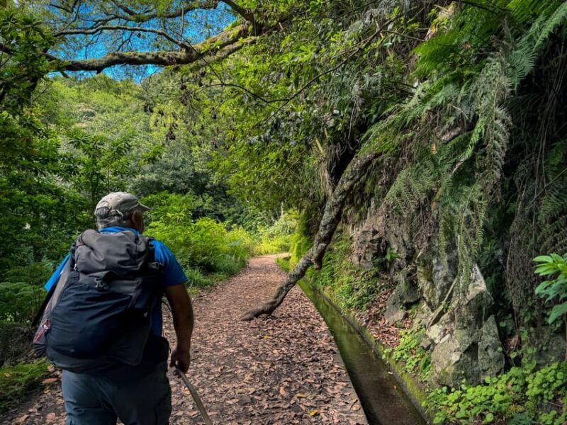 Hiking Madeira: Levada do Rei and the Majestic Laurissilva - The Experience in Detail