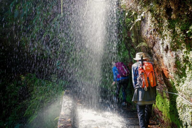 Hiking Madeira: Levada do Rei and the Majestic Laurissilva - Practical Tips for the Hike