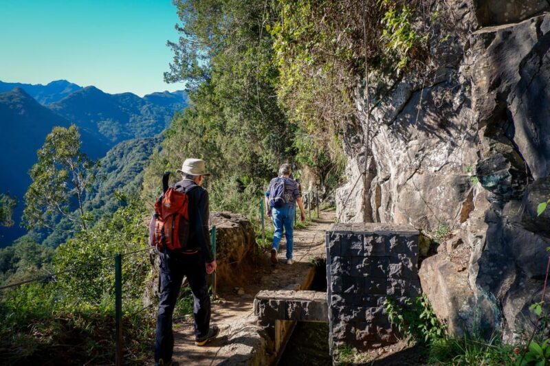 Hiking Madeira: Levada do Rei and the Majestic Laurissilva - Who Should Consider This Tour?