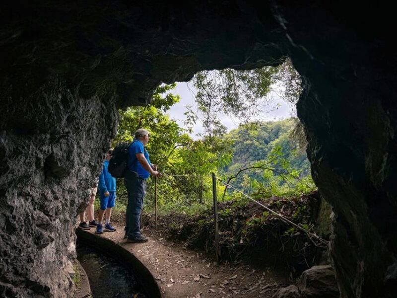 Hiking Madeira: Levada do Rei and the Majestic Laurissilva - The Sum Up