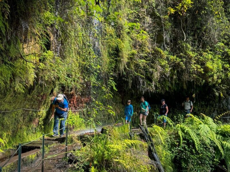 Hiking Madeira: Levada do Rei and the Majestic Laurissilva - FAQ