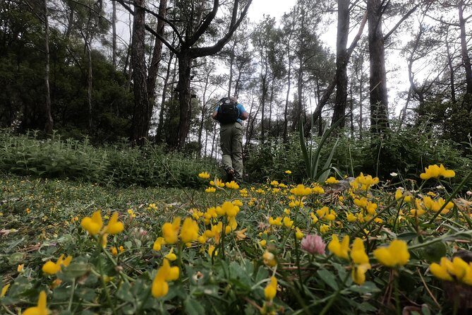 Hiking Mountain Akramitis Rhodes - pick up service available - Key Points