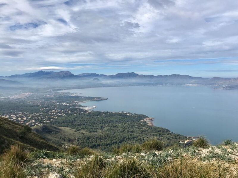 Hiking on Alcúdia Peninsula - Who Is This Tour Best For?