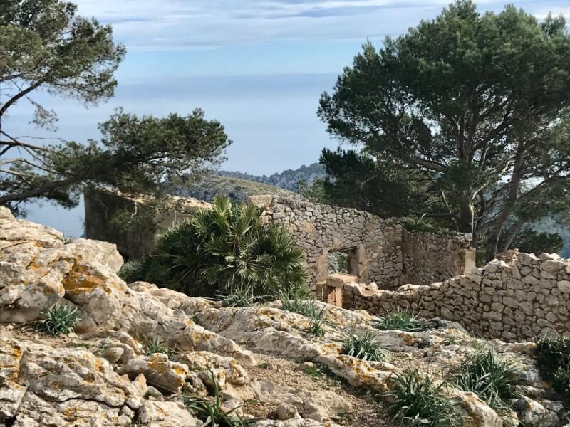 Hiking on Alcúdia Peninsula - The Sum Up