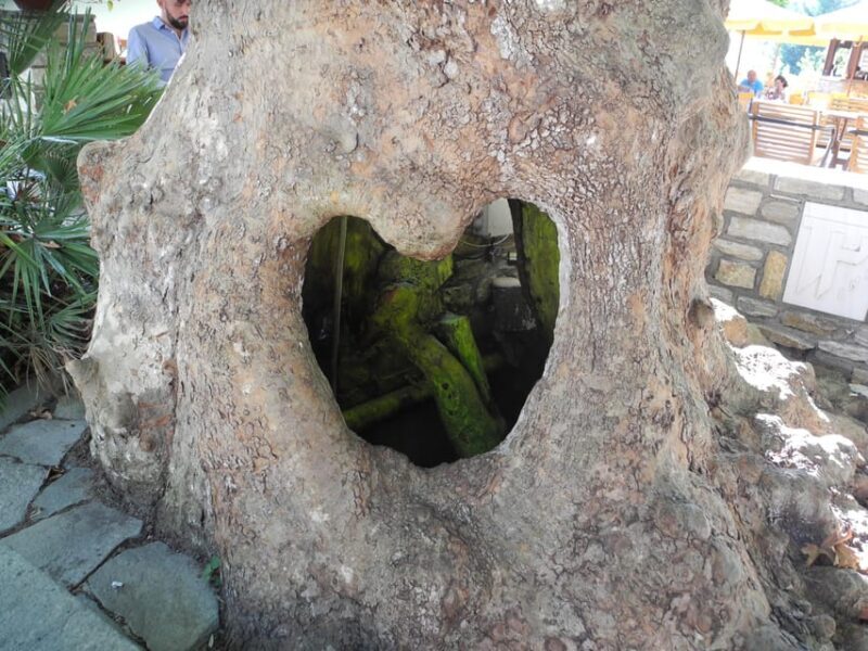 Hiking on Thasos Island - Final Thoughts