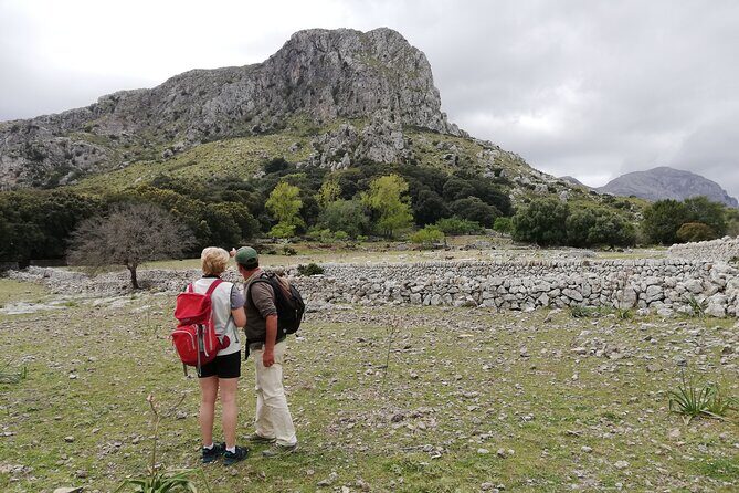Hiking Private Tour in Pollensa - An In-Depth Look at the Hiking Private Tour in Pollensa