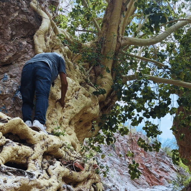 Hiking Ruta del Novillo: explore Sonora's natural surroundings. - The Experience Provider: Sonora Tours