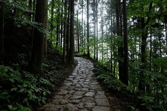 Hiking the Historic Nakasendo Trail- 1 Day Tour from Nagoya - The Experience in Detail