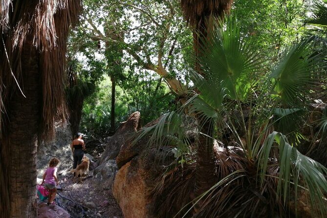 Hiking to Desert Palm Oases of San Carlos with a Biologist - An In-Depth Look at the Experience
