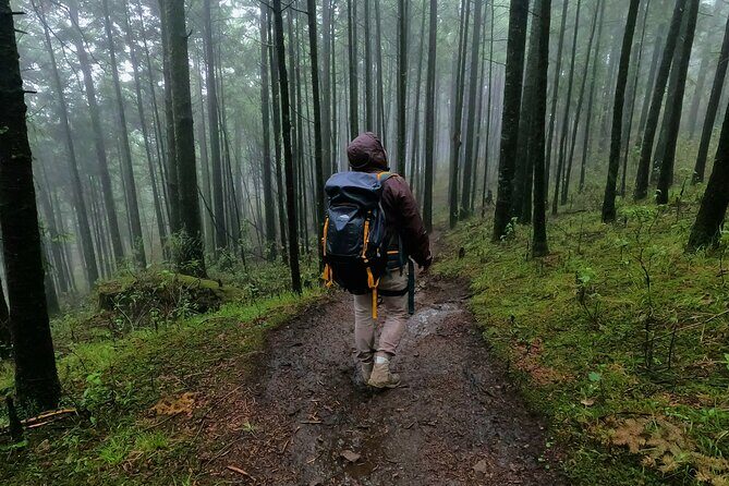 Hiking to the Puerta del Cielo Viewpoint in Mexico City - Authenticity and Value