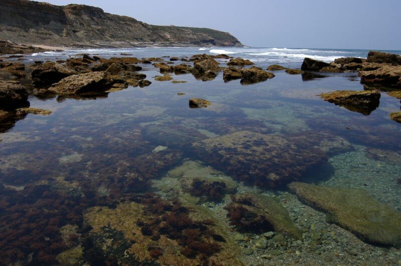 Hiking Tour Along the West Coastline - Final Thoughts