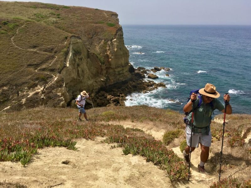 Hiking Tour Along the West Coastline - Who Should Consider This Tour?