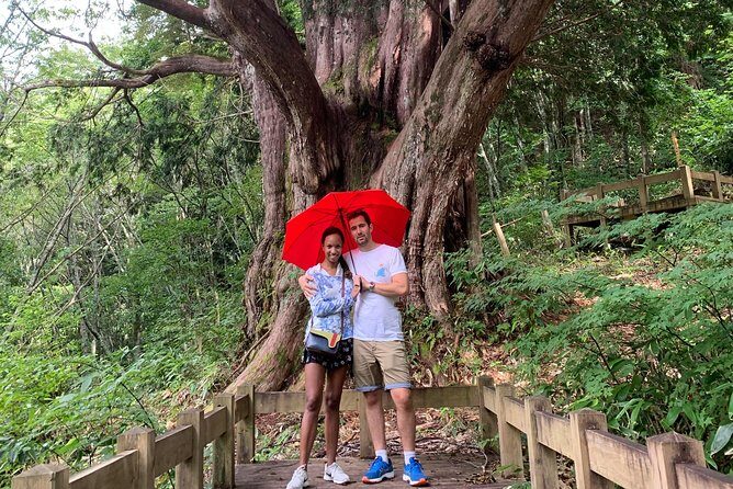 Hiking tour around Takayama city (About 3 hours) - Key Points