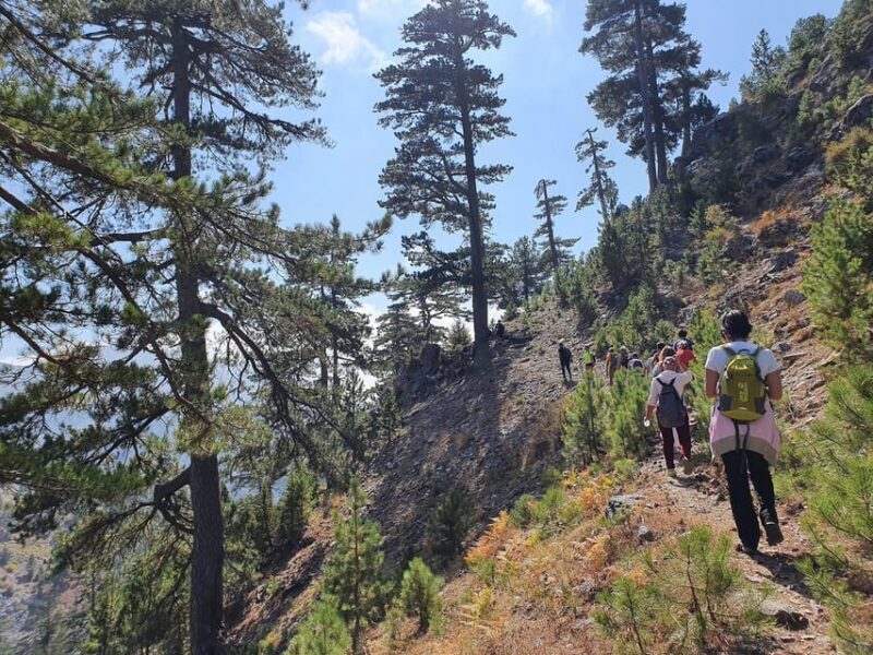 Hiking Tour At The Taurus Mountains of Alanya - An In-Depth Look at the Taurus Mountains Hike