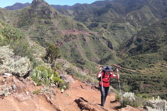 Hiking tour in the Anaga biosphere reserve in Tenerife - The Value of the Experience