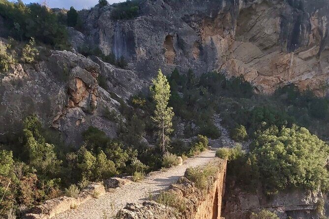 Hiking Tour of the Roman Aqueduct of Peña Cortada and Ruta de Agua - Who Should Book This Tour?