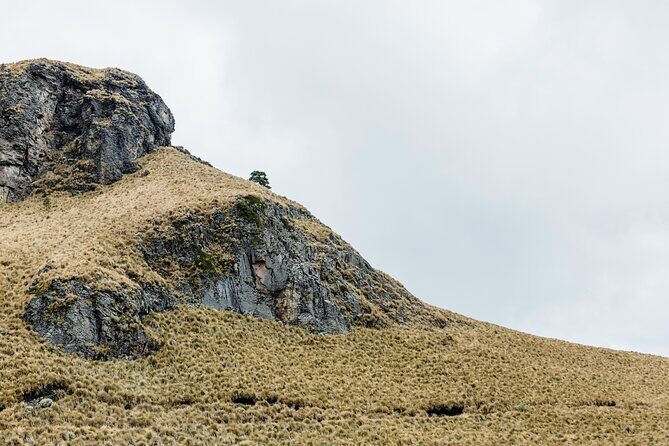 Hiking Tour on the Iztaccíhuatl Volcano from Puebla (private) - What do the reviews tell us?