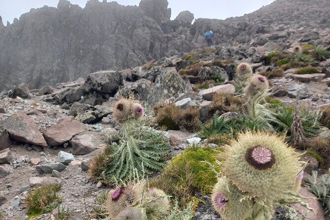Hiking Tour to the Top of La Malinche - Who Should Consider This Tour?