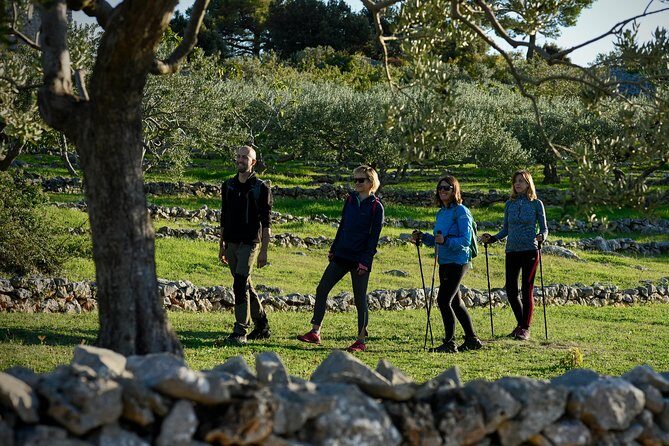 Hiking tour Vidova gora and visiting Museum of olive oil - A Deep Dive into the Experience