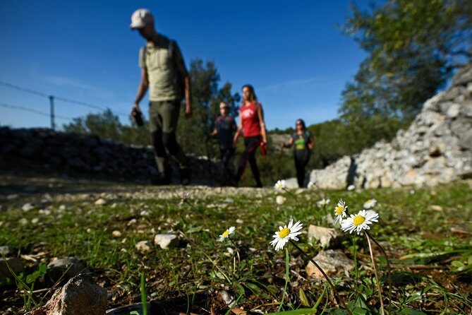 Hiking tour Vidova gora and visiting Museum of olive oil - Final Thoughts: Is It Worth It?