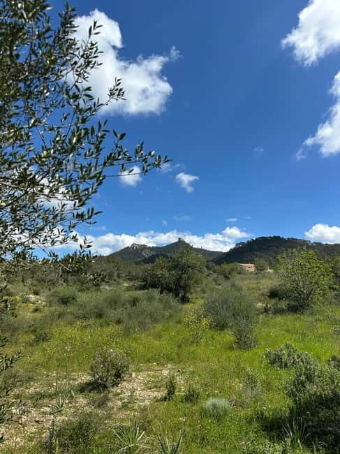 Hiking tour with a dream view of the former monastery of Sant Salvador, 3-4 hours. - Discover Mallorca’s Hidden Treasure: A Guided Hike to Sant Salvador