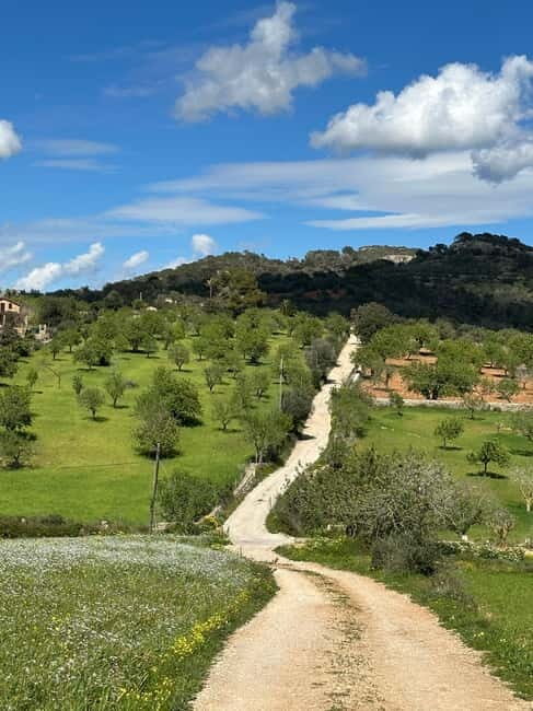 Hiking tour with a dream view of the former monastery of Sant Salvador, 3-4 hours. - Practicalities & What to Pack