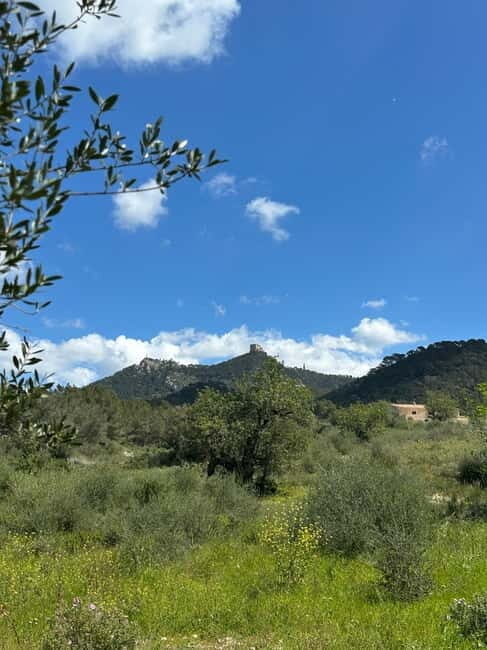 Hiking tour with a dream view of the former monastery of Sant Salvador, 3-4 hours. - FAQs