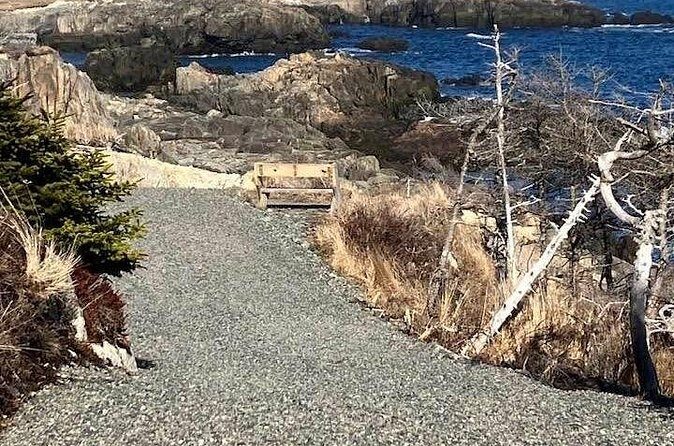 Hiking Trail at Louisbourg Lighthouse Scenic Coastal Views Tour - The Sum Up: Who Will Love This Experience?