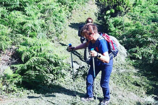 Hiking Trail Baías da Agualva | Terceira Island - A Deep Dive into the Baías da Agualva Experience