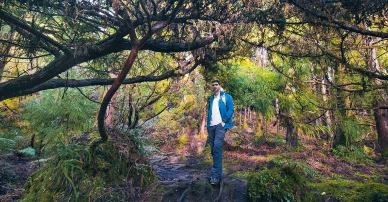 Hiking Trails - Who Will Love This Tour?