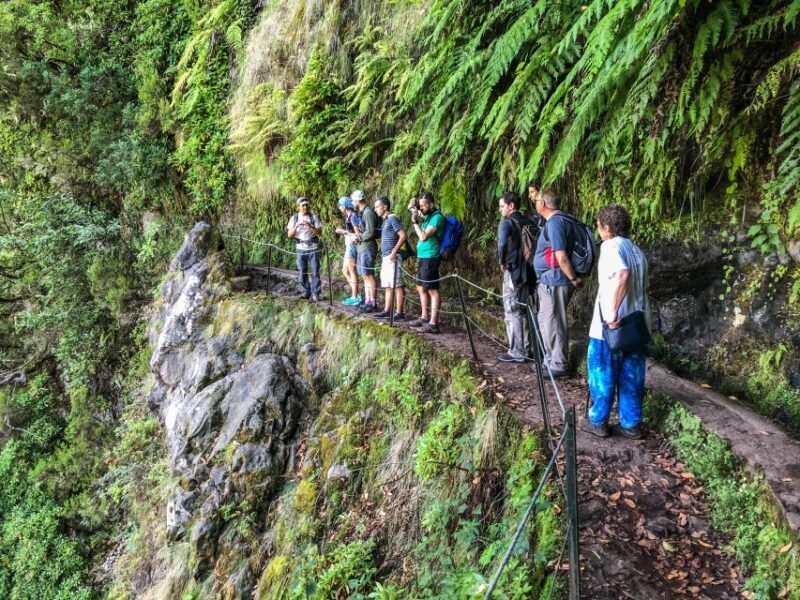 Hiking Trip with a Local - Key Points