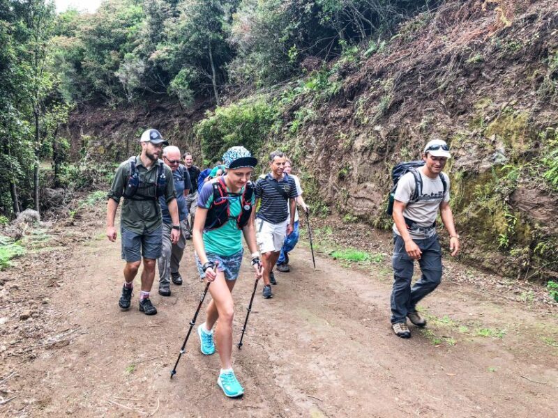 Hiking Trip with a Local - Exploring Madeira’s Natural Beauty on Foot