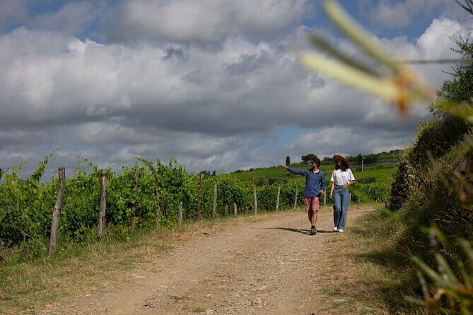 Hiking Tuscany & Chianti Wine - 3 Organic Wineries with lunch - FAQs